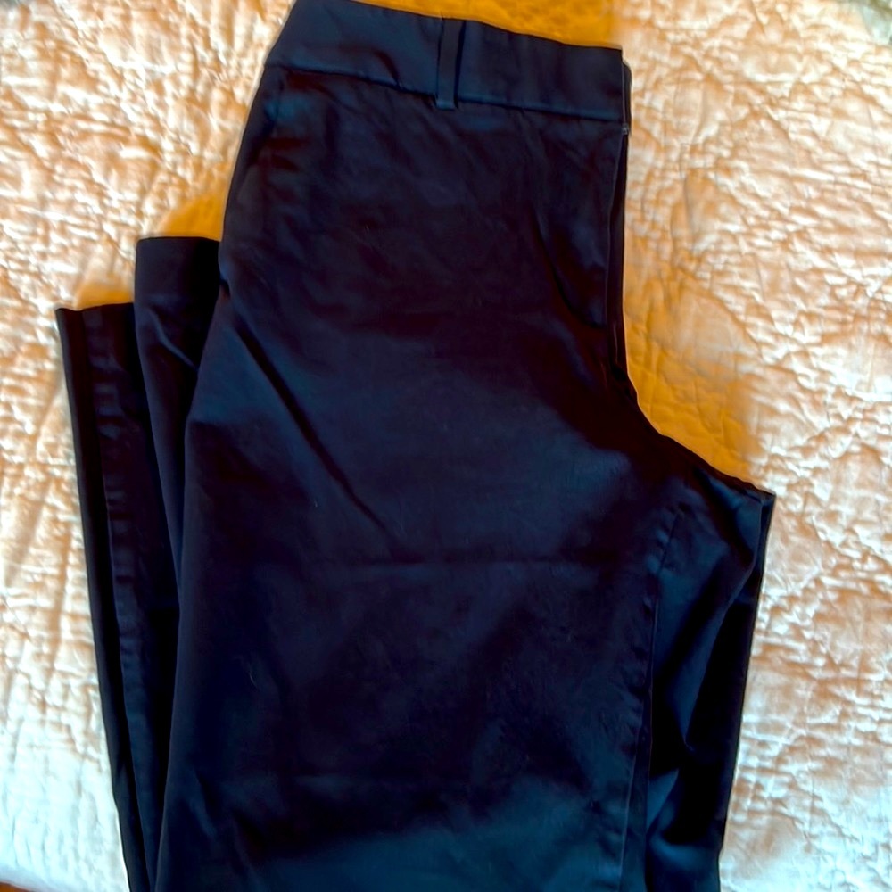 Talbots Newport pant 10 petite.
